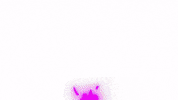 PeachFarmer nft digital peach cards GIF