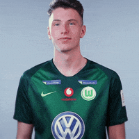 fifa 18 football GIF by VfL Wolfsburg