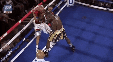 toprank fight boxing fighting espn GIF