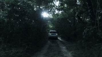 LandRover forest discovery offroad woods GIF