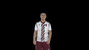 proevolutionacedmy football but pea proevolutionacademy GIF