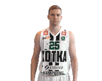 Sport Basketball Sticker by Basket_fi