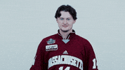 ncaasports hockey college ncaa ice GIF