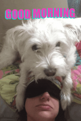 Good Morning GIF by chuber channel
