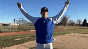 baseball warm up pinwheel arm spin GIF