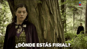 imagentelevision  GIF
