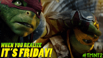 teenage mutant ninja turtles mikey GIF by Paramount Pictures