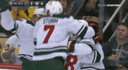 Happy National Hockey League GIF by NHL