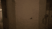 I Did It Karen GIF by FILMRISE