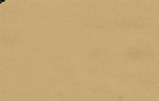 woperovski artist ocean whale stamp GIF