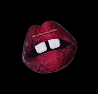 gelarehmizrahi kiss lips newyork wallet GIF