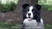 GIF by Foxtel