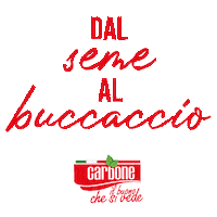 Pizza Vegan Sticker by Carbone Conserve