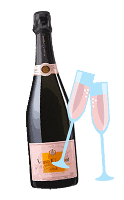 coolmom101 giphyupload cheers champagne luxury Sticker