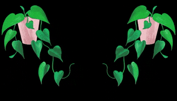 meguuedaart love art illustration flower GIF