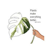 Plant Plantlovers Sticker by Monstera Mania