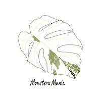 Plante Plantlovers Sticker by Monstera Mania