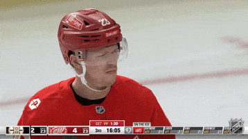 Happy Funny Face GIF by NHL