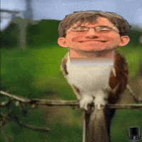 Tophatguy0416 GIF