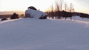 Midd GIF by Middlebury