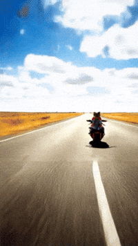 Motos Yorkshireterrier GIF