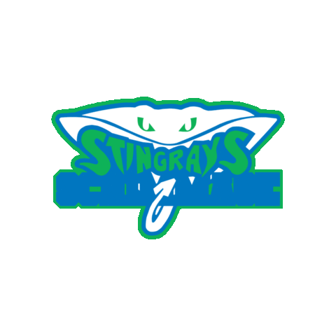 Cheer Rays Sticker by The Stingray Allstars