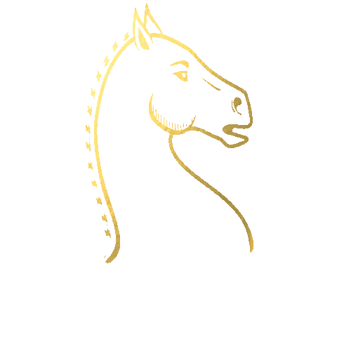 PoloandTweed  Sticker