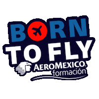 Fly Piloto Sticker by Aeromexico Formación