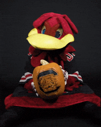 Halloween Mascot GIF by University of South Carolina
