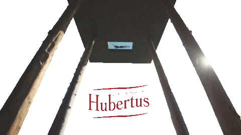 hotelhubertus giphyupload hotel hubertus hotel hubertus Sticker