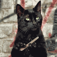 TV gif. Salem the cat from Sabrina the Teenage Witch files his nails with a nail file, looking bored to death.