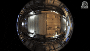 physics atlas GIF by CERN