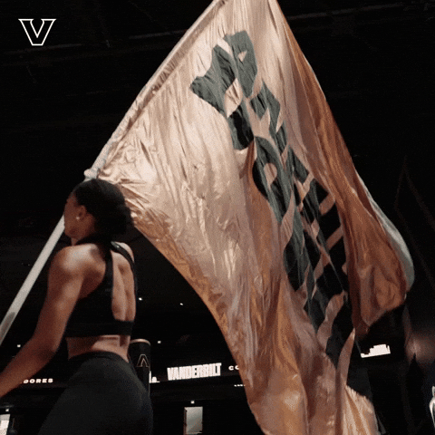 Sport Celebrate GIF by Vanderbilt Athletics
