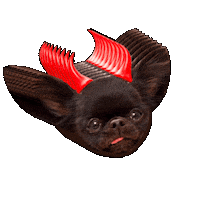 Dog Halloween Sticker