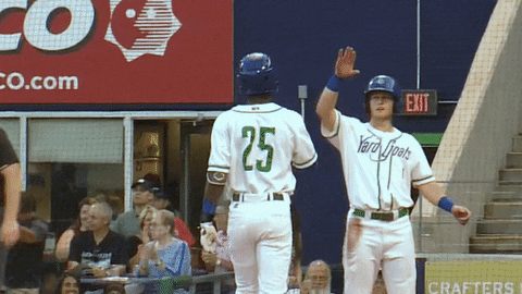 High Five Up Top GIF by Hartford Yard Goats