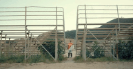 dirt GIF by Brat