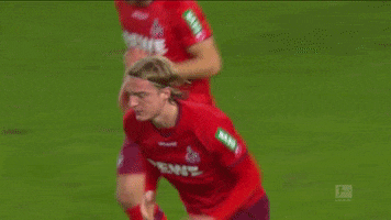 1 Fc Cologne Football GIF by 1. FC Köln
