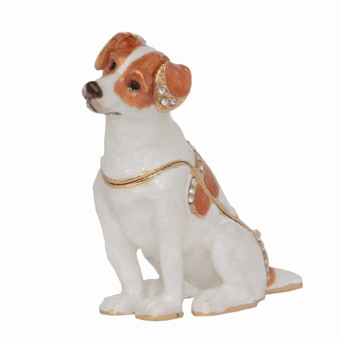 iLoveMyPet giphyupload jack russell terrier gifts GIF