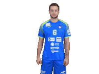 Handball Euro Sticker by Rokometna zveza