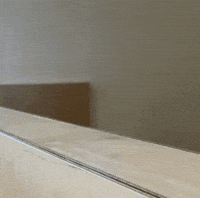 Dog What GIF