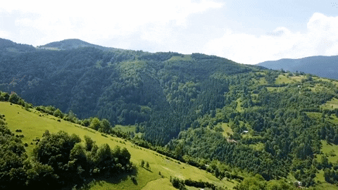 themainprojectl giphygifmaker GIF