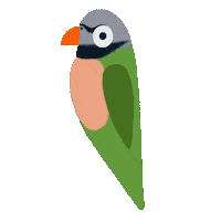 Bird Parrot Sticker