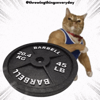 Cat Throwing GIF