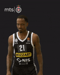 Partizan GIF by sportmts