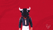 Nfl Swipe Up GIF by Houston Texans