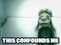 This Confounds Me GIF