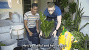 tyleroakley flower youtube house plant GIF