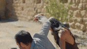 Kanald GIF by Ay Yapım