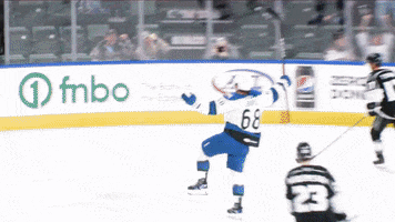 Hockey GIF by Colorado Eagles