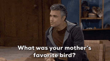 Broke Show GIF by CBS